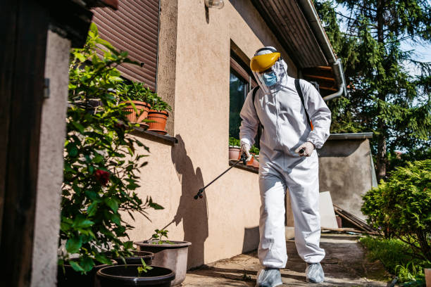 Best Termite Control Services  in Seabrook, MD